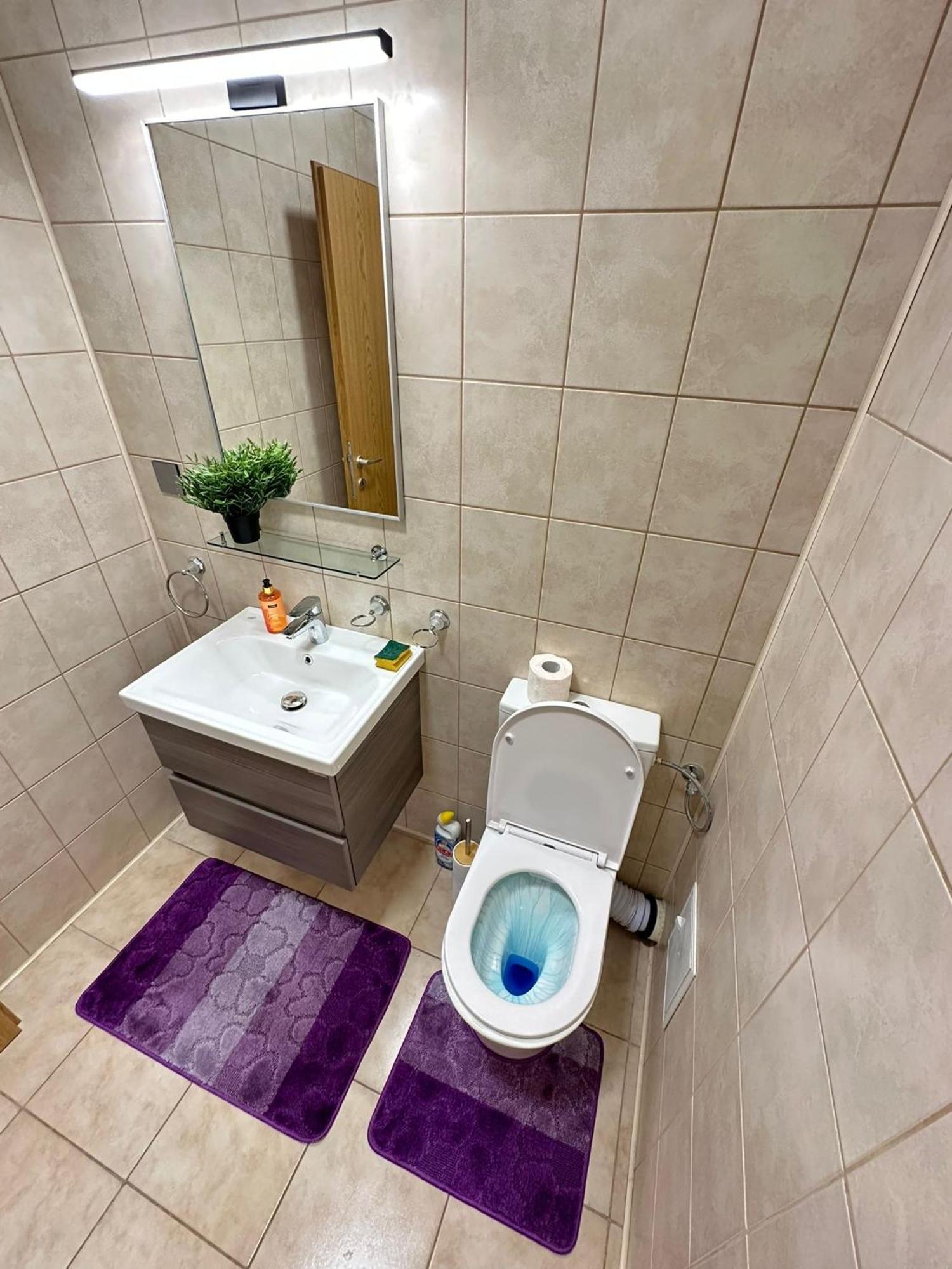 Centru Unirii Luxury Vip Palmier Apartament 2 Camere Cu Terasa Exterioara Amenajata ! Parcare Subterana Privata Climatizata Si Supravegheata Video Dar Doar Cu Rezervare In Limita Locurilor Disponibile !Proprietate In Regim Hoteliep - Nu Are Bucatarie Bükreş Dış mekan fotoğraf