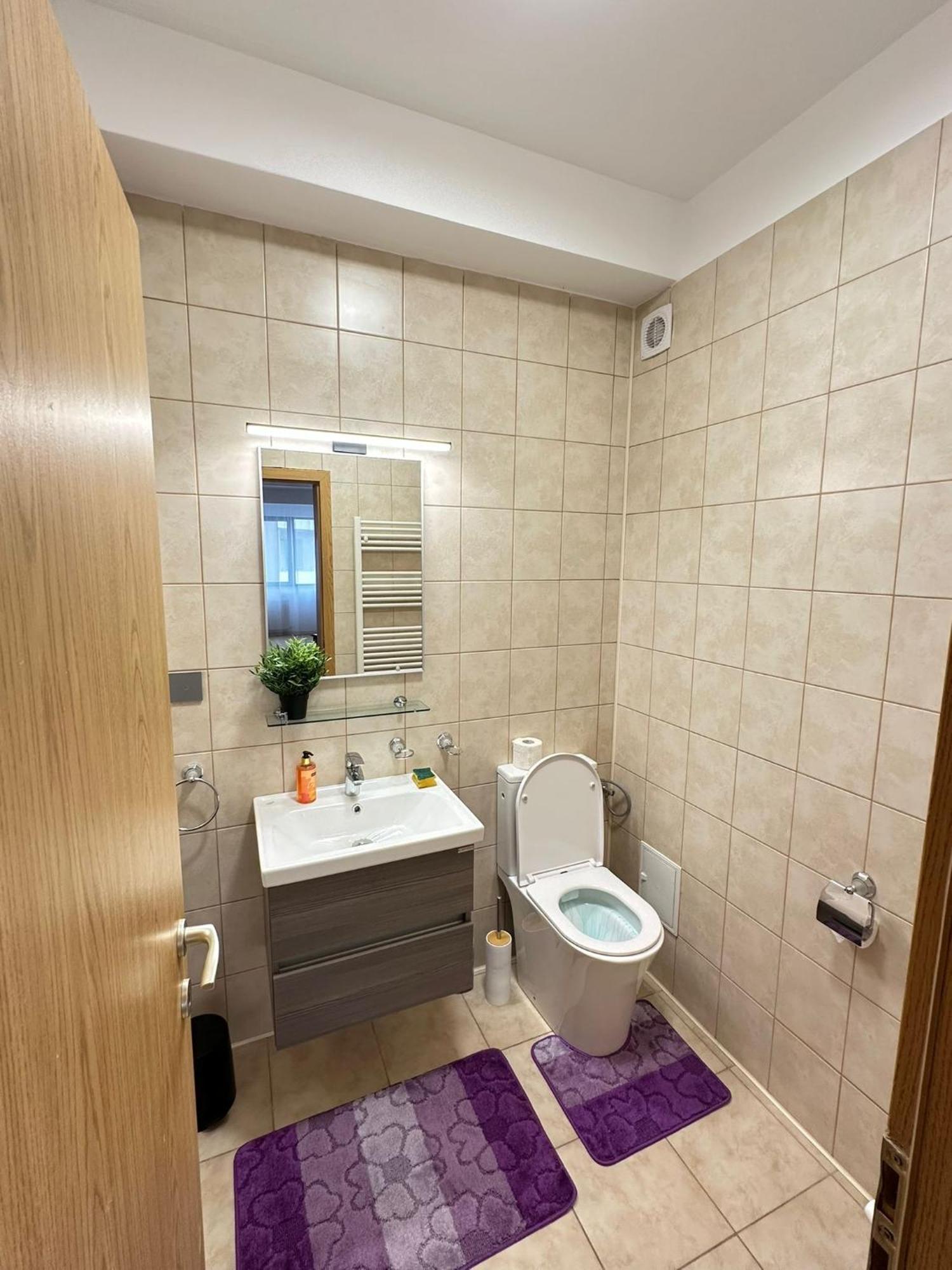 Centru Unirii Luxury Vip Palmier Apartament 2 Camere Cu Terasa Exterioara Amenajata ! Parcare Subterana Privata Climatizata Si Supravegheata Video Dar Doar Cu Rezervare In Limita Locurilor Disponibile !Proprietate In Regim Hoteliep - Nu Are Bucatarie Bükreş Dış mekan fotoğraf